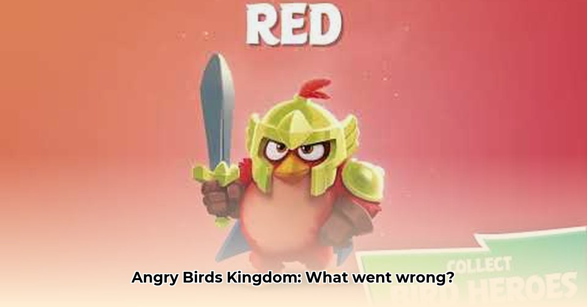 angry-bird-kingdom